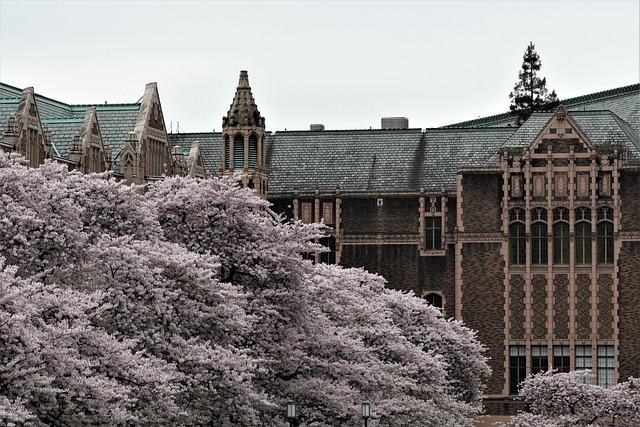 University of British Columbia campus building