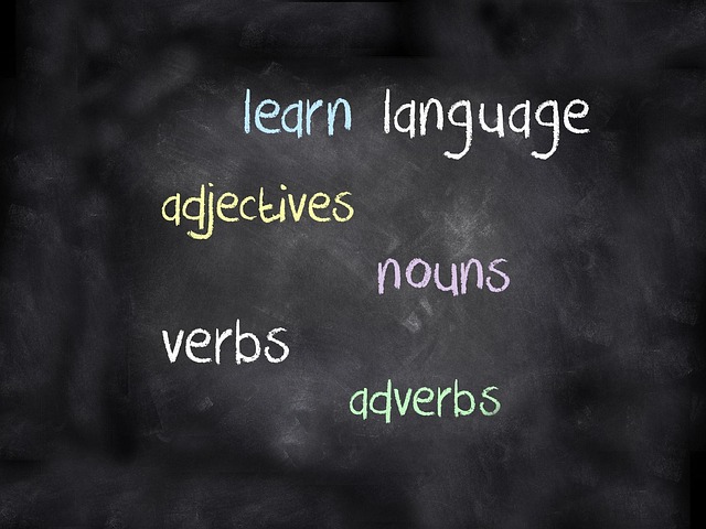 Montreal English School Board education partner